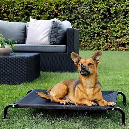 Cama Elevada Para Perros Talla M