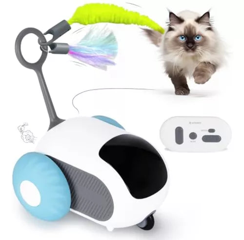 Juguete a Control Remoto para Gatos