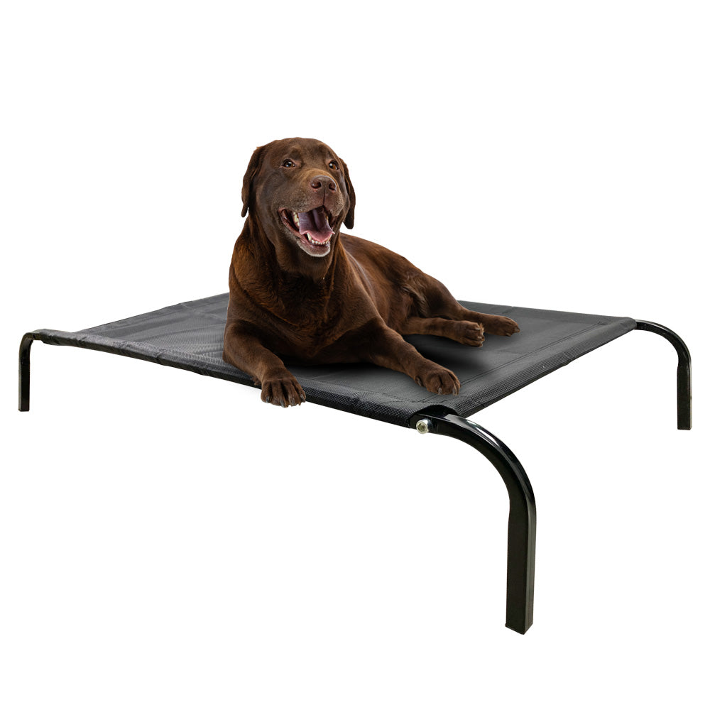 Cama Elevada Para Perros Talla XL